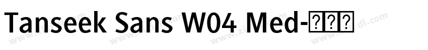 Tanseek Sans W04 Med字体转换